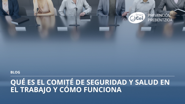 comité de seguridad y salud en el trabajo